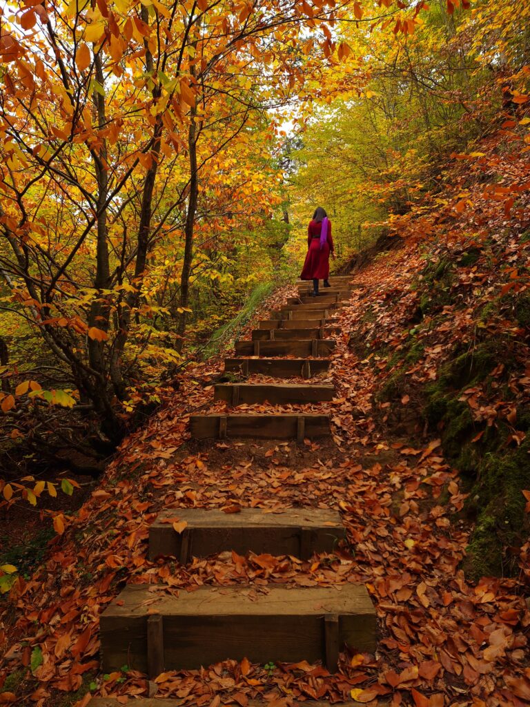 Word of the Week: fall